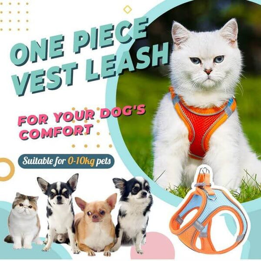 🐕 One Piece Pet Vest Leash – Adjustable & breathable mesh